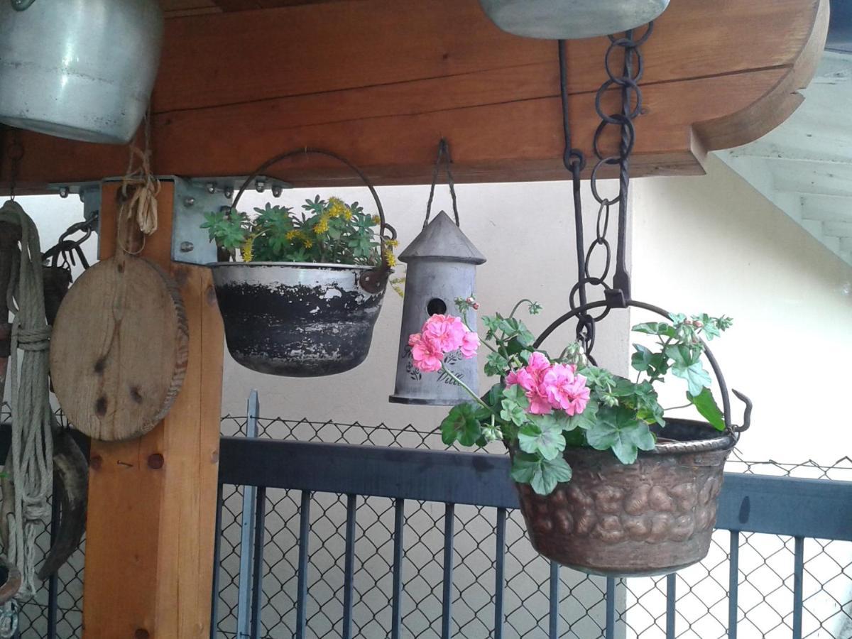 B&B Casa Francesca Alano Di Piave Bagian luar foto