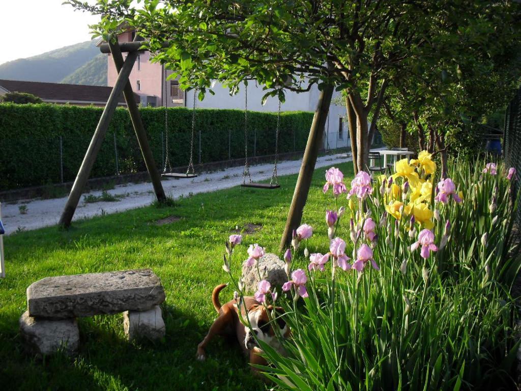 B&B Casa Francesca Alano Di Piave Bagian luar foto